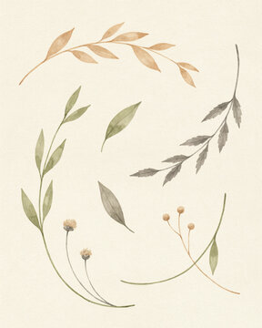 Elegant Hand Painted Watercolor Botanical Leaf Collection Featuring Delicate Twigs and Floral Elements in Soft Earthy Tones on Textured Paper