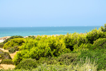 sand dunes in La Barrosa beach in Sancti Petri, Cadiz, Spain, in august 2026 © josevgluis