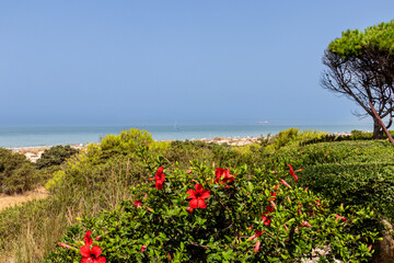 sand dunes in La Barrosa beach in Sancti Petri, Cadiz, Spain, in august 2026 © josevgluis