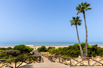 sand dunes in La Barrosa beach in Sancti Petri, Cadiz, Spain, in august 2026 © josevgluis