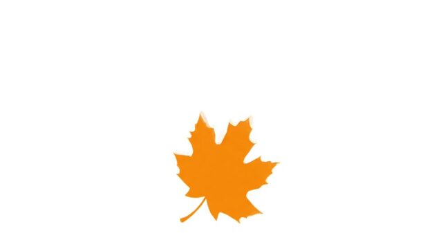 A single, vibrant orange maple leaf is depicted against a stark white background, symbolizing autumn.