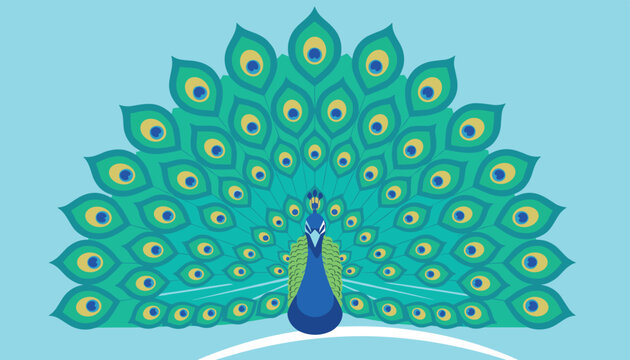 Stunning blue peacock displaying its fully fanned green and turquoise tail feathers, positioned elegantly on a solid light blue background.