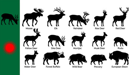 Collection of sixteen black deer family silhouettes featuring moose elk reindeer roe red fallow sika muntjac musk pudu water buffalo boar peccary bison with banner © MD