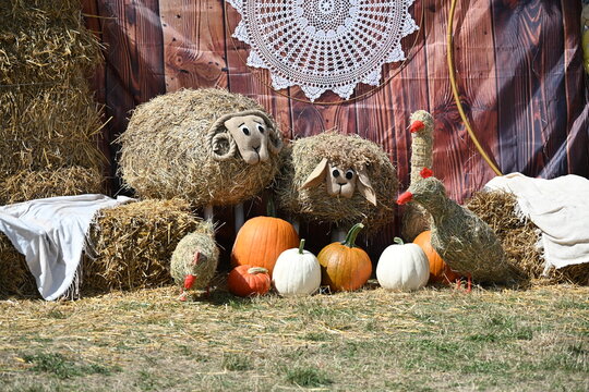 Traditional Harvest Festival Installation with Straw Sheep, Large Embroidered Circles and Pumpkins