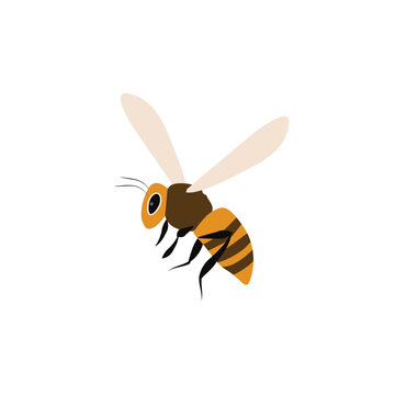 Flat Vector Cartoon Flying Honey Bee Insect Icon Illustration.

