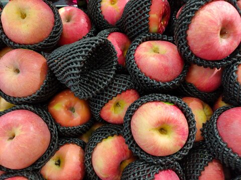 A pile of fresh red Fuji apples, mostly wrapped in protective black foam mesh netting.