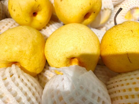 A close-up shot of bright yellow Asian pears resting in protective white foam mesh netting wrappers at a market.