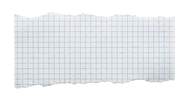 Torn piece of graph paper isolated on transparent background