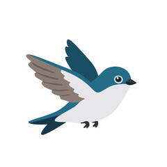 Fototapeta premium Graceful tree swallow flying with wings spread, blue and white feathers, cute hand drawn bird illustration isolated on white background