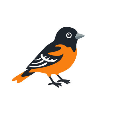 Bright orange and black Baltimore oriole bird perched on a branch, colorful hand drawn wildlife illustration isolated on white background