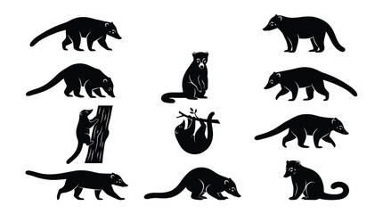Obraz premium Raccoon silhouettes in various poses against a white background