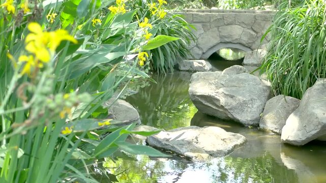 Peaceful garden stream flowing under stone bridge with yellow iris flowers.