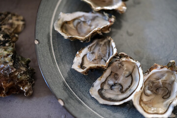 Opened oysters on a gray ceramic plate. Shallow depth of field. Copy space. © Ganna Zelinska