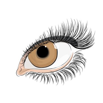 Vector illustration of eyes 
