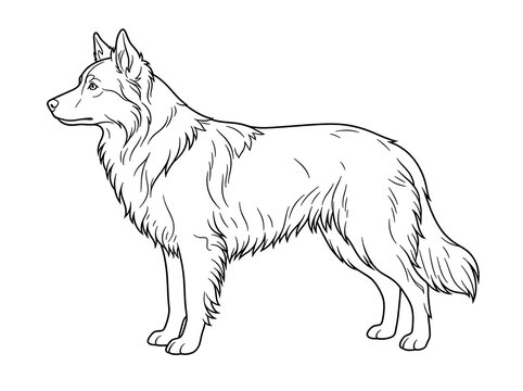 Standing dog line art illustration