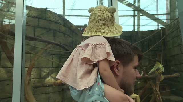 Father carrying his young daughter on his shoulders while visiting an indoor animal enclosure.