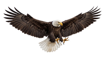 Obraz premium Majestic bald eagle with wings spread wide in mid-flight, showcasing its powerful talons