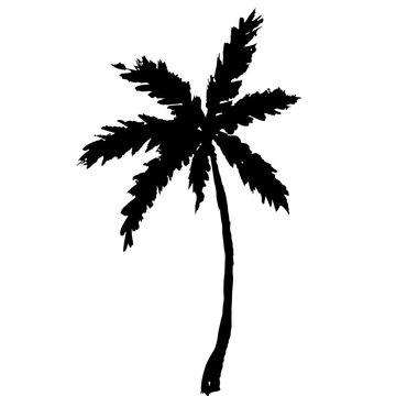 Elegant silhouette of a tropical palm tree against a clean white background