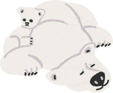polar bear cub