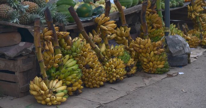 Large rows of green and yellow banana bunches cover a roadside stall with pineapples stacked above and heavy blocks securing the display beside the pavement in a static documentary composition