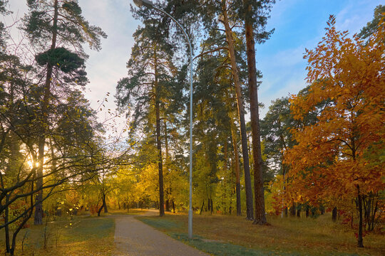 Golden October.Autumn empty tiled path in a city public park