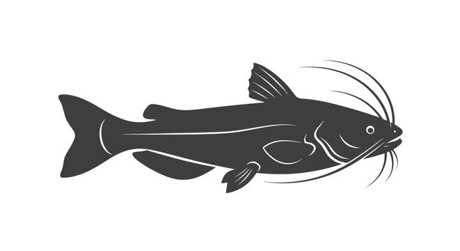 Black catfish silhouette with white accents with plain white background illustration freshwater seafood graphic animal icon