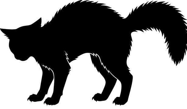 Frightened black cat silhouette with arched back raised fur and bushy tail representing fear anxiety and spooky Halloween vector
