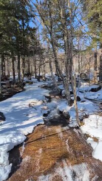 A spring thaw&mdash;the river has awakened and flows in a swift stream from beneath the snow in the mountains, amidst the forest. Quebec, Canada.