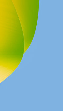 Green and yellow abstract curved ribbon against blue background