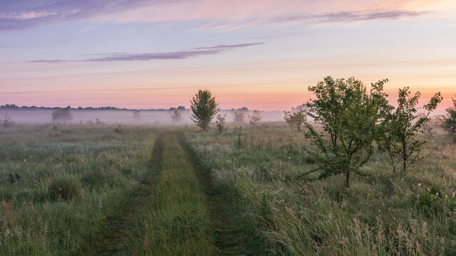 a misty rural landscape at sunrise, where a narrow dirt track cuts through dewy green grass under a colorful pastel sky.
