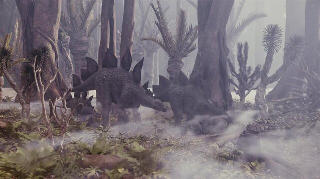 3d animation of prehistoric dinosaurs Stegosaurus walking in mysterious ancient foggy jungle forest.