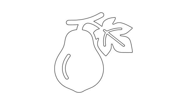 Fresh pear with le, fresh food, healthy produce, animated icon