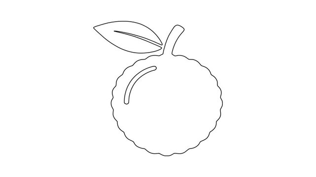 Fresh berry fruit , fresh food, healthy produce, animated icon