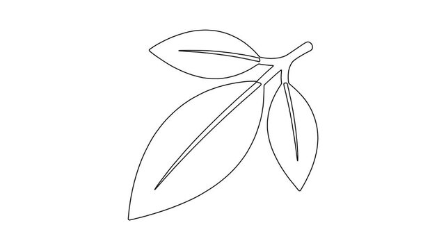 Fruit branch with , fresh food, healthy produce, animated icon