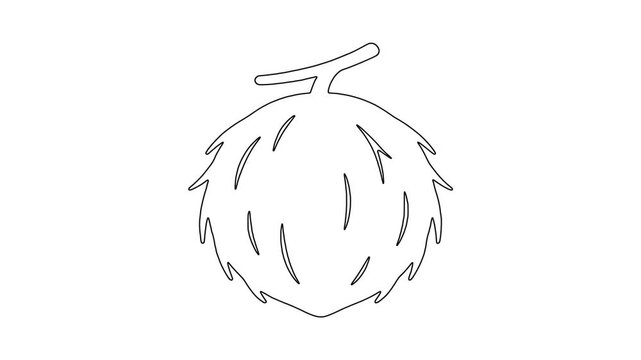 Coconut fruit trop, fresh food, healthy produce, animated icon