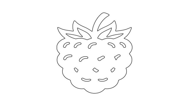 Fresh raspberry fr, fresh food, healthy produce, animated icon