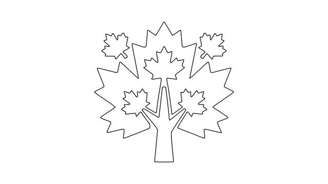 Maple leaf tree au, fresh food, healthy produce, animated icon