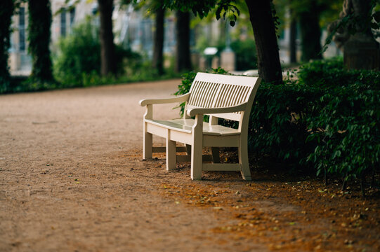 Empty white wooden bench placed on a dirt path under tree shade in a peaceful outdoor public park