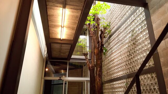Indoor courtyard featuring a tree growing beside a textured glass block wall, with wood ceiling panels, windows, and architectural details in a Mexican building
