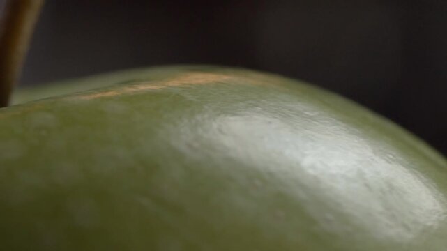 Extreme close up of a green apple showing detailed skin texture and a visible stem, with shallow focus emphasizing the curved fruit surface in Mexico.
