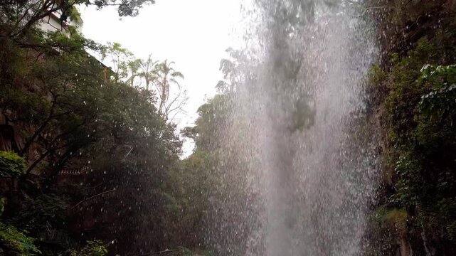 Waterfall cascading down a rocky forest cliff surrounded by dense green vegetation, trees, moss, and natural rock formations in a tranquil outdoor setting.