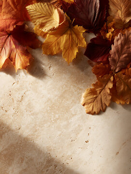 Fall leaves on a light surface with shadows in a warm setting