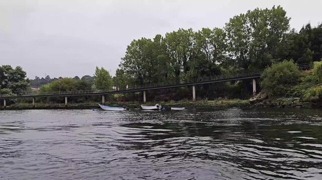 Overcast sky looms above calm water. Bridge stretches across the river, lined with green trees. White boats drift gently on the dark surface. , so emotions are not applicable
