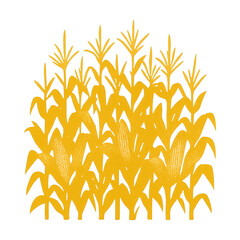 Obraz premium PNG Golden cornfield illustration design.