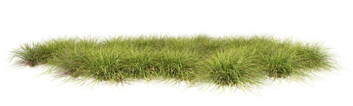 Prairie lush fields landscape cut out transparent backgrounds 3d rendering png