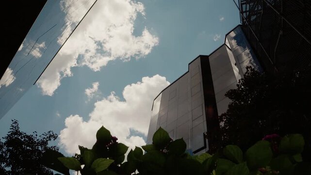 The camera focuses on glass buildings reaching towards the blue sky filled with clouds. Green plants frame the bottom of the view, showing an urban landscape.