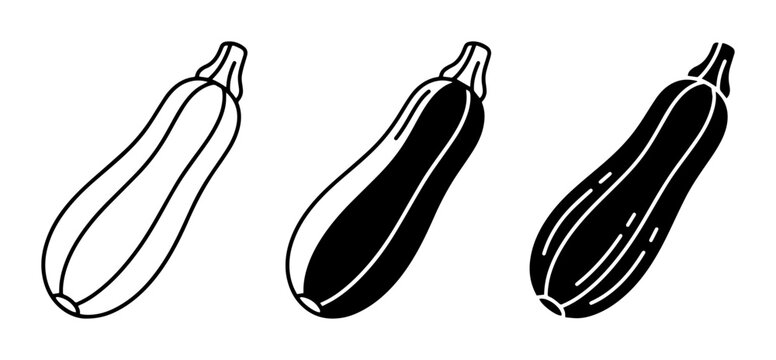 Zucchini Vector Icons: Outline, Solid, and Silhouette Styles