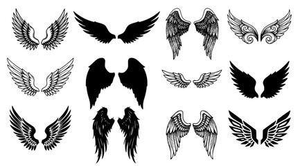 Fototapeta premium Detailed collection of diverse decorative bird wing vector graphic elements