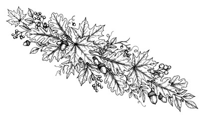 Autumn leaves and acorns garland banner sketch illustration with black and white line art design element hand drawn illustration engraving seasonal decoration monochrome © Shamim