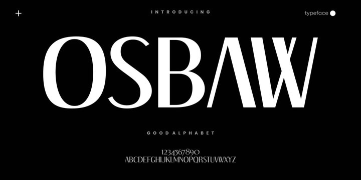 Elegant High Contrast Serif Font for Luxury Fashion Branding and Editorial Design